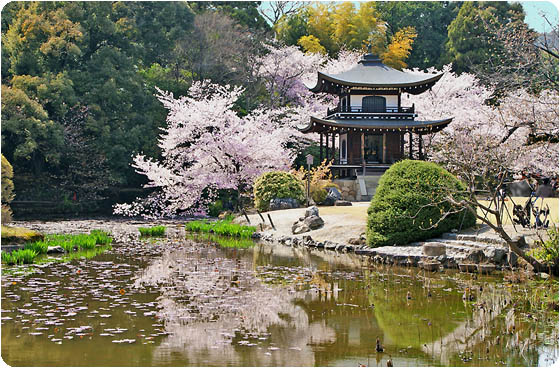 勧修寺-1
