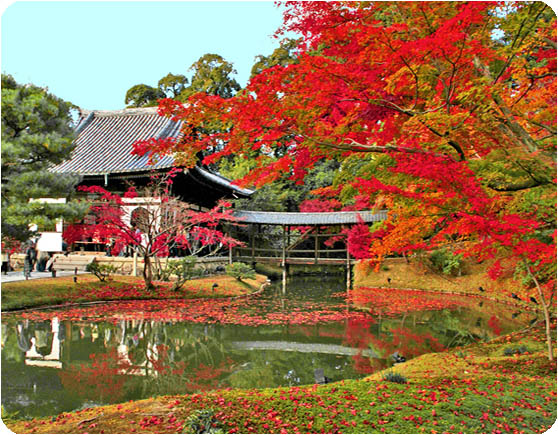 高台寺12