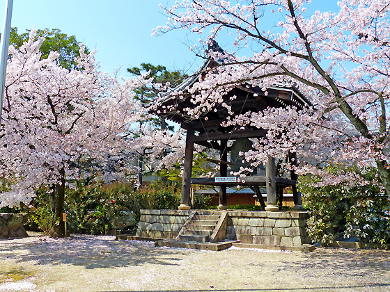 妙顕寺2