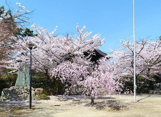 妙顕寺23