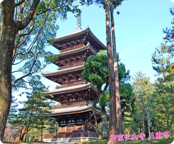 仁和寺五重塔