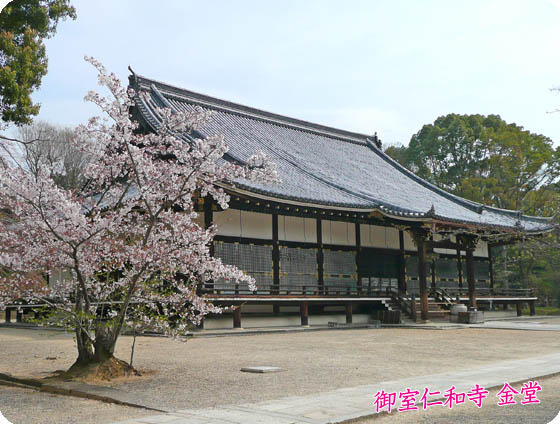 仁和寺金堂