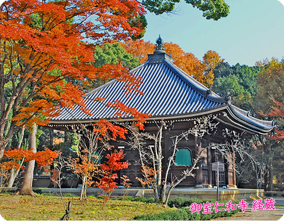仁和寺経蔵