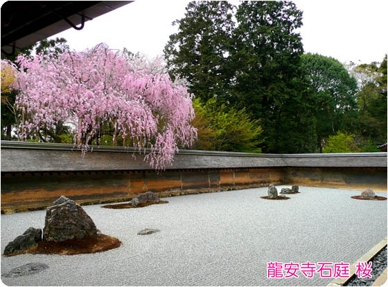 龍安寺石庭1