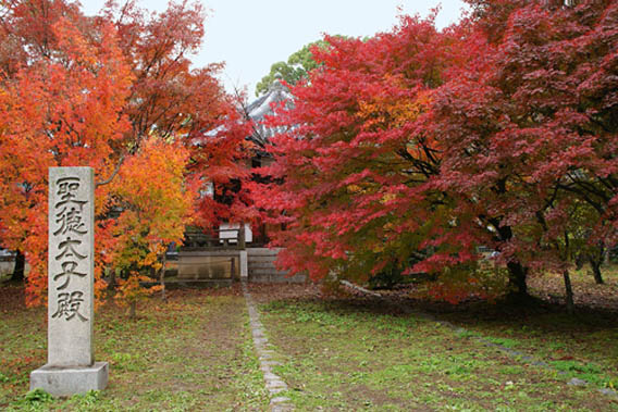 清涼寺紅葉3-1