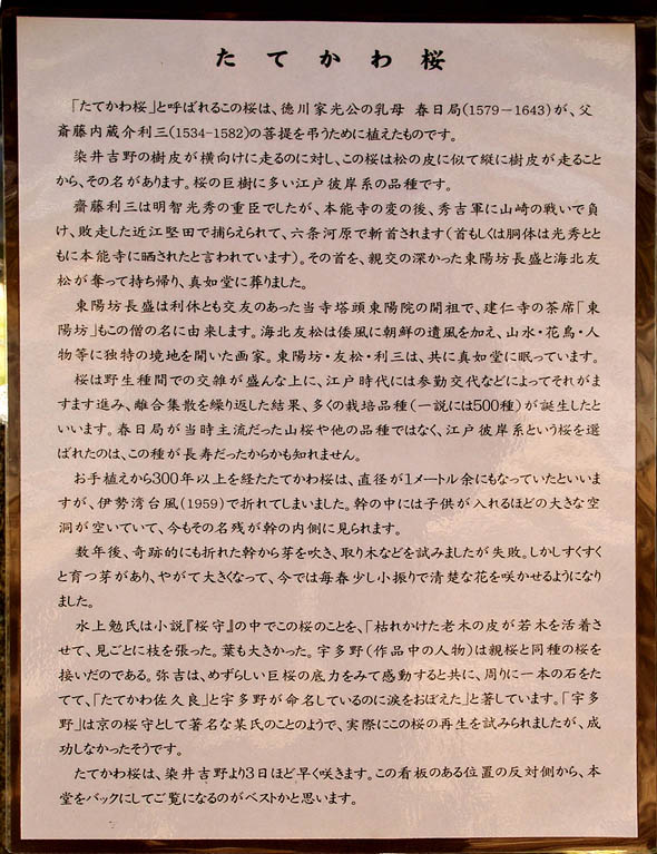真如堂10033