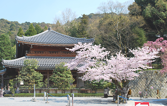 知恩院3-2