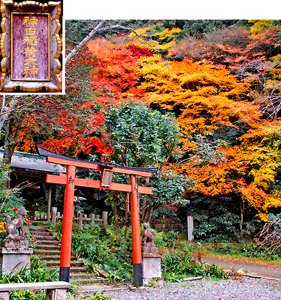 日向大神宮神田稲荷の紅葉