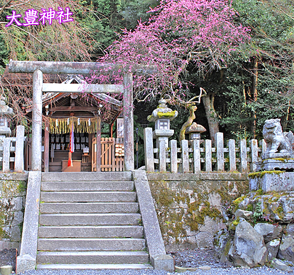 大豊神社本殿